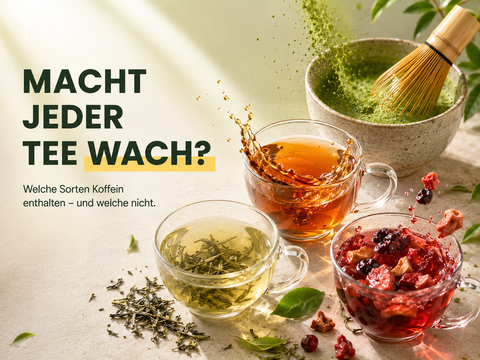 Koffein im Tee: Welche Sorten machen wach – und welche nicht?