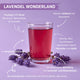 Lavendel Wonderland
