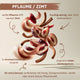 Pflaume / Zimt