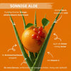 Sonnige Aloe