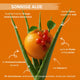 Sonnige Aloe