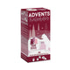 Tee-Bären® Adventskalender - Schneekugel - 24 x 15g